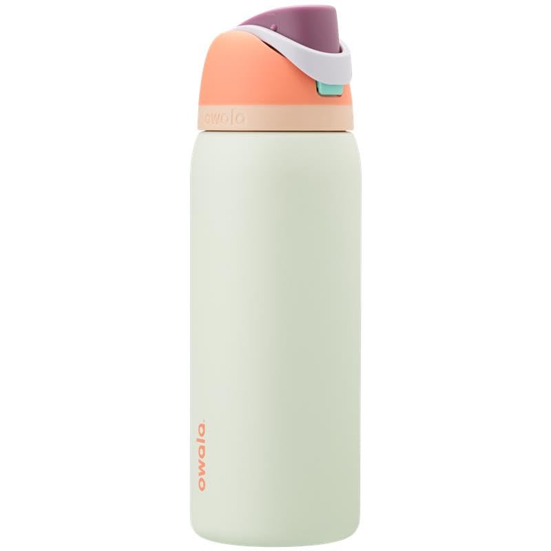 Owala FreeSip Insulated Stainless Steel Water Bottle with Straw for Sports, Travel, and School BPA-Free Sports Water Bottle, 24 oz, Dreamy Field
