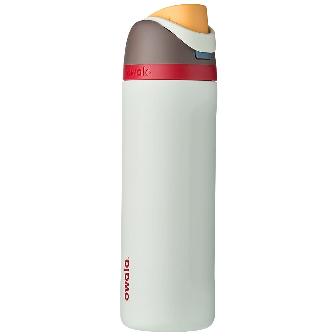 Owala FreeSip Insulated Stainless Steel Water Bottle with Straw for Sports, Travel, and School BPA-Free Sports Water Bottle, 24 oz, Dreamy Field