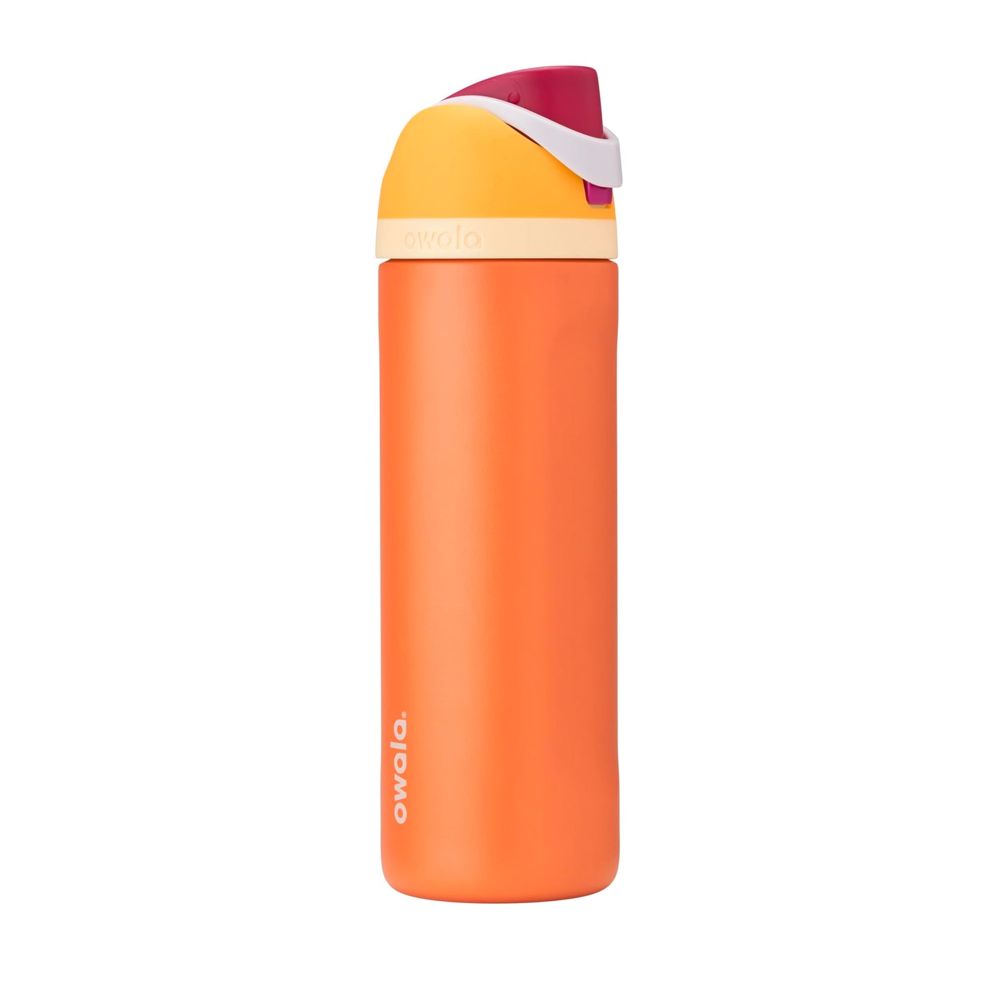 Owala FreeSip Insulated Stainless Steel Water Bottle with Straw for Sports, Travel, and School BPA-Free Sports Water Bottle, 24 oz, Dreamy Field