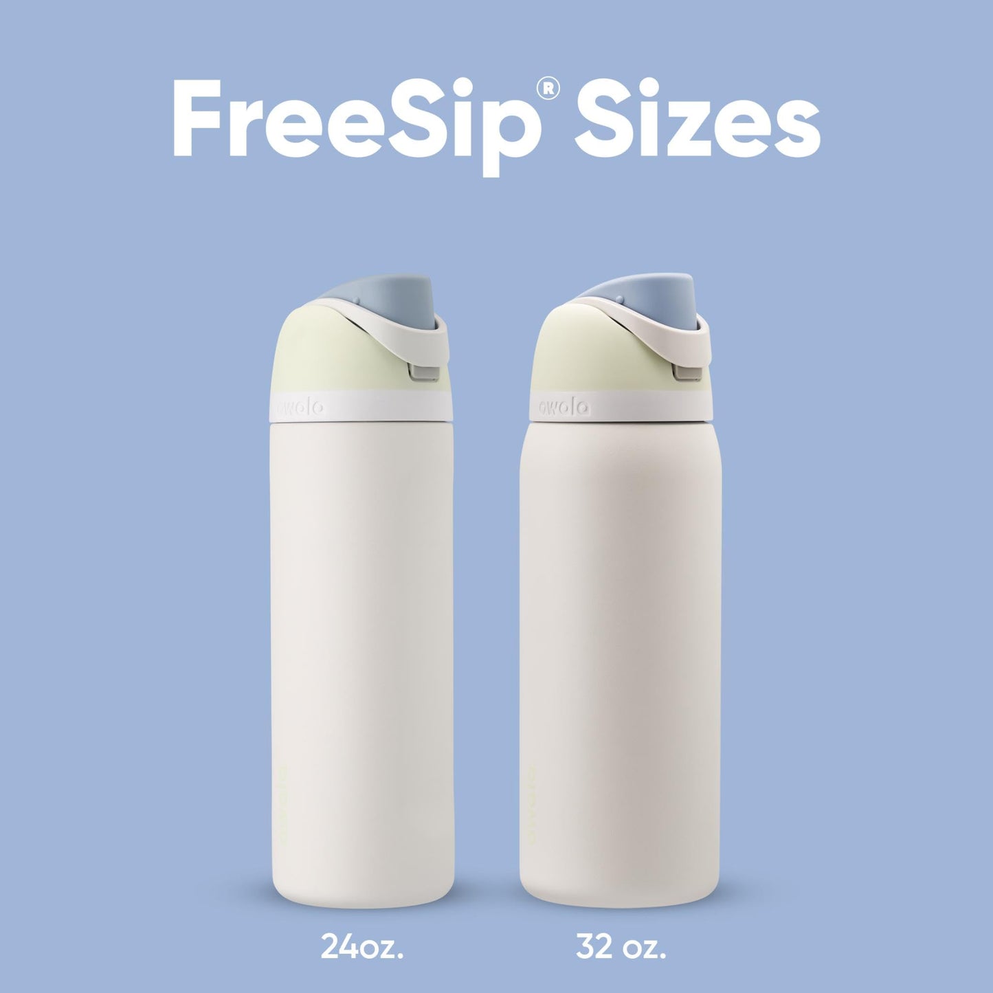 Owala FreeSip Insulated Stainless Steel Water Bottle with Straw for Sports, Travel, and School BPA-Free Sports Water Bottle, 24 oz, Dreamy Field