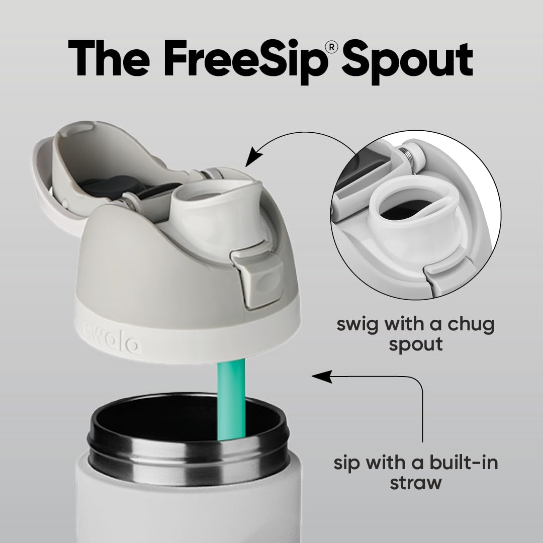 Owala FreeSip Insulated Stainless Steel Water Bottle with Straw for Sports, Travel, and School BPA-Free Sports Water Bottle, 24 oz, Dreamy Field