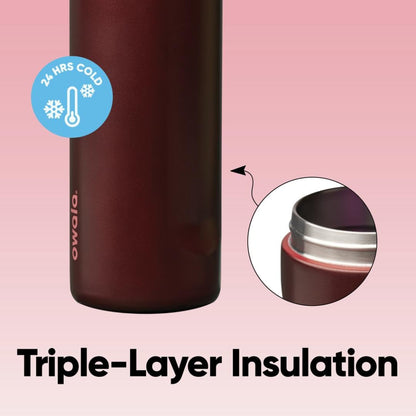 Owala FreeSip Insulated Stainless Steel Water Bottle with Straw for Sports, Travel, and School BPA-Free Sports Water Bottle, 24 oz, Dreamy Field