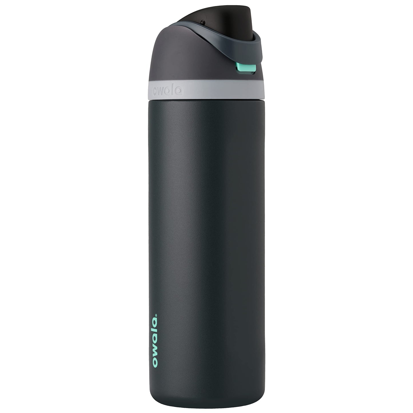 Owala FreeSip Insulated Stainless Steel Water Bottle with Straw for Sports, Travel, and School BPA-Free Sports Water Bottle, 24 oz, Dreamy Field