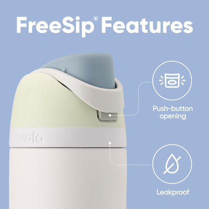 Owala FreeSip Insulated Stainless Steel Water Bottle with Straw for Sports, Travel, and School BPA-Free Sports Water Bottle, 24 oz, Dreamy Field