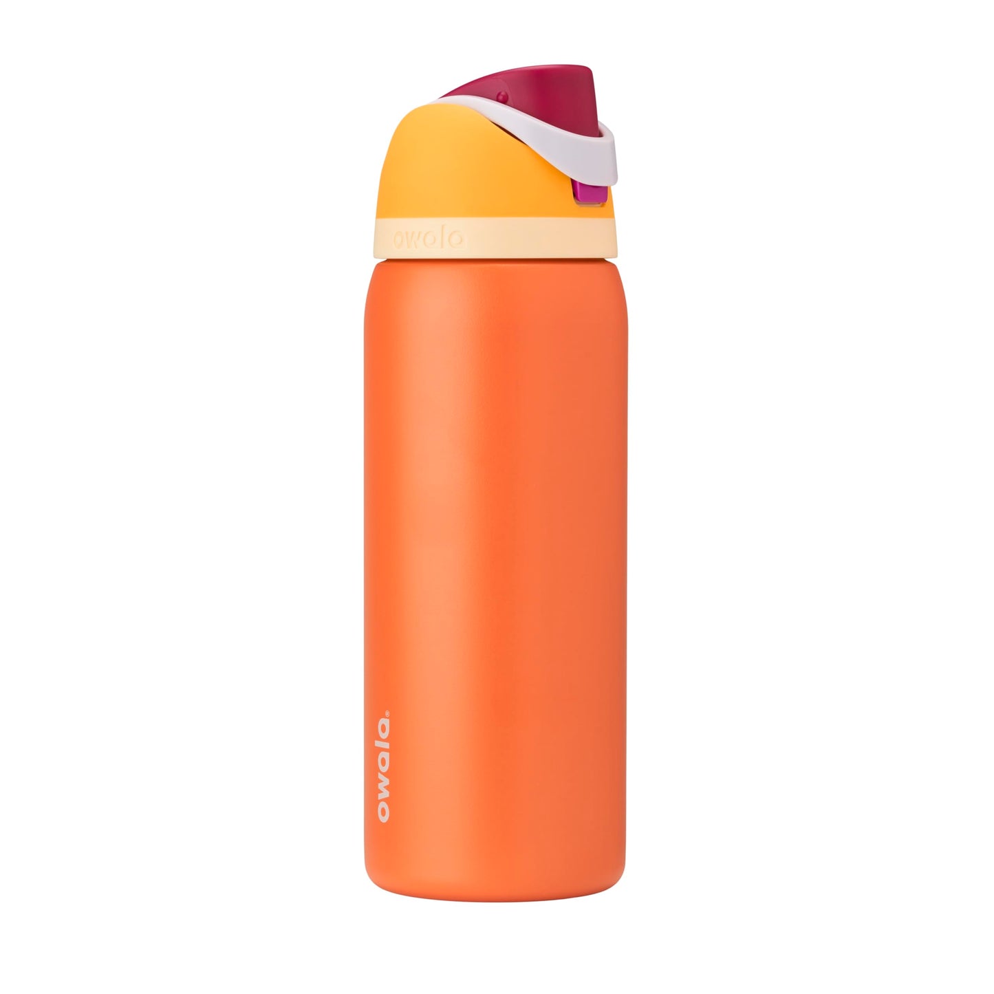 Owala FreeSip Insulated Stainless Steel Water Bottle with Straw for Sports, Travel, and School BPA-Free Sports Water Bottle, 24 oz, Dreamy Field