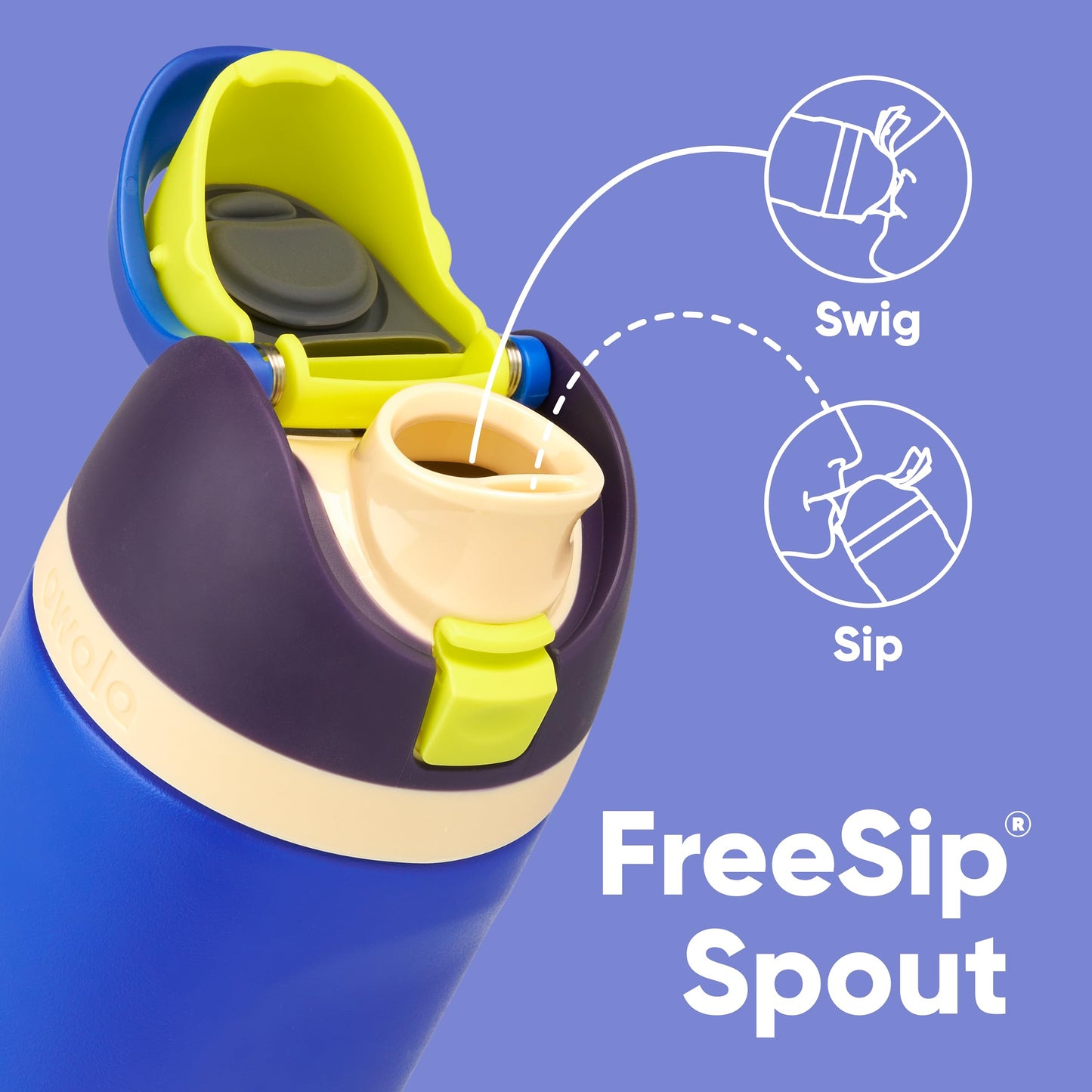 Owala FreeSip Insulated Stainless Steel Water Bottle with Straw for Sports, Travel, and School BPA-Free Sports Water Bottle, 24 oz, Dreamy Field