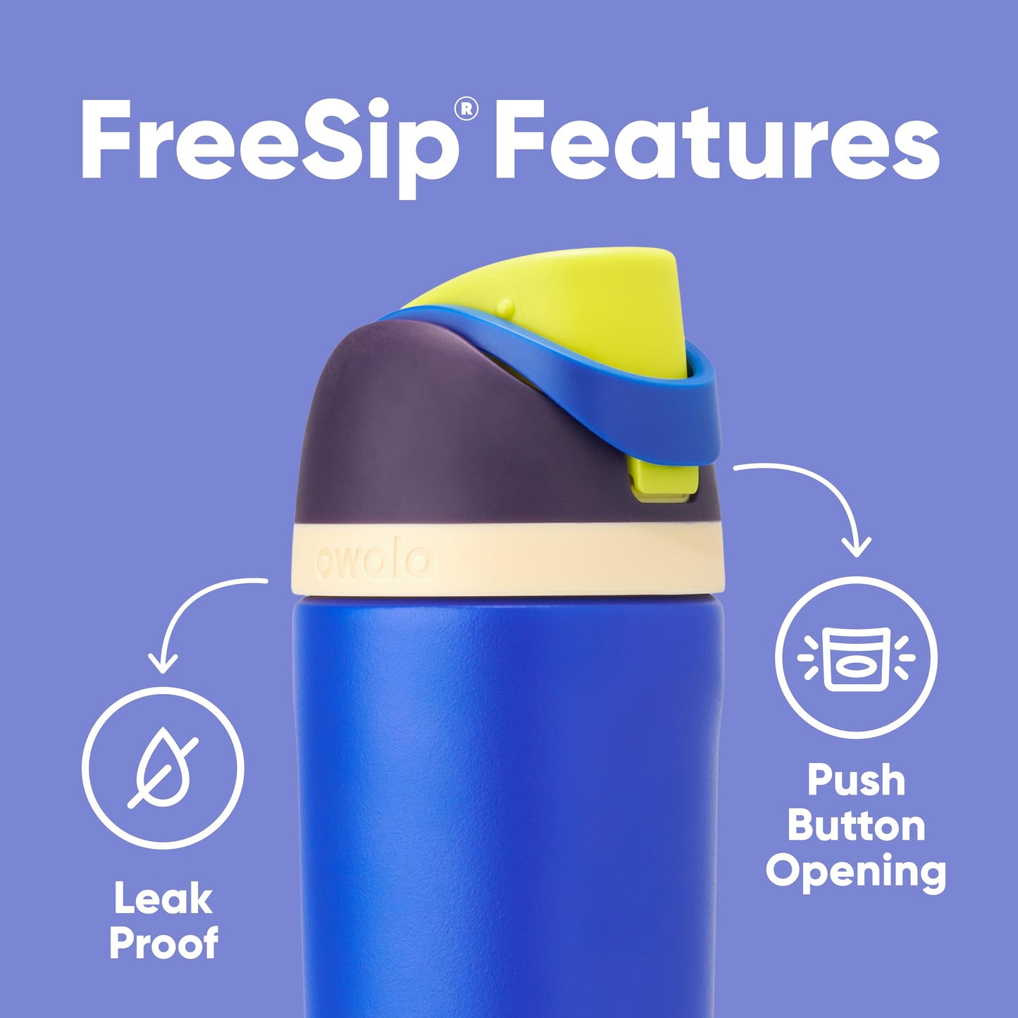 Owala FreeSip Insulated Stainless Steel Water Bottle with Straw for Sports, Travel, and School BPA-Free Sports Water Bottle, 24 oz, Dreamy Field