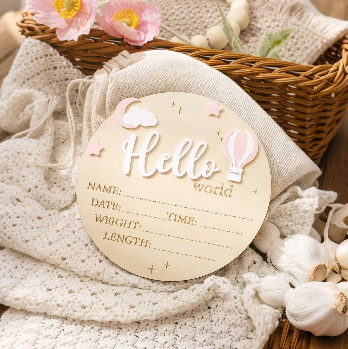 Hello World Newborn Birth Announcement Sign