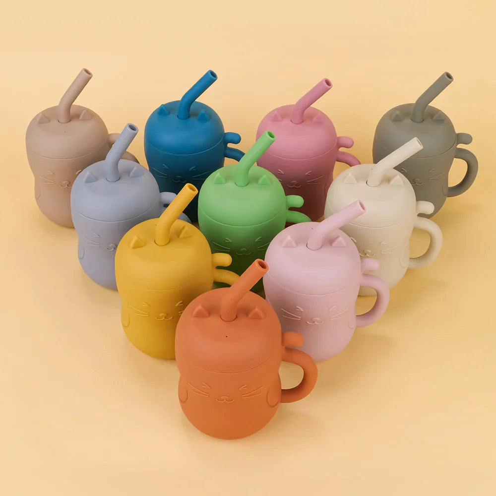 Silicone Straw Water Bottle-2