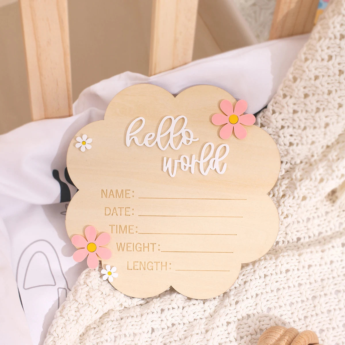 Hello World Newborn Birth Announcement Sign