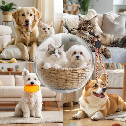 3D Video Crystal Ball 2.7inch 4GB Videos Player