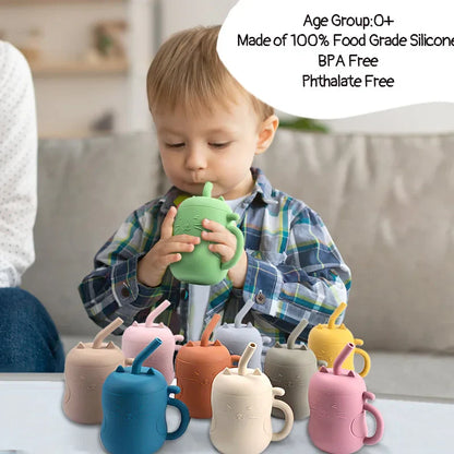 Silicone Straw Water Bottle-4