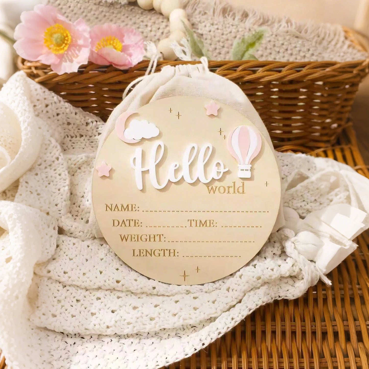 Hello World Newborn Birth Announcement Sign