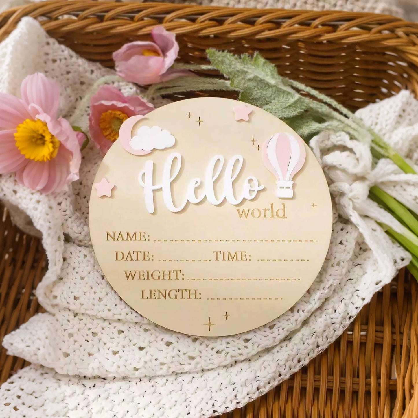 Hello World Newborn Birth Announcement Sign