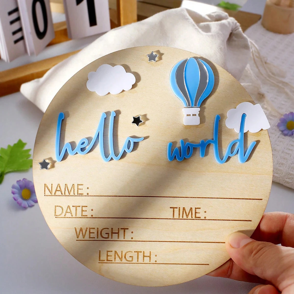 Hello World Newborn Birth Announcement Sign