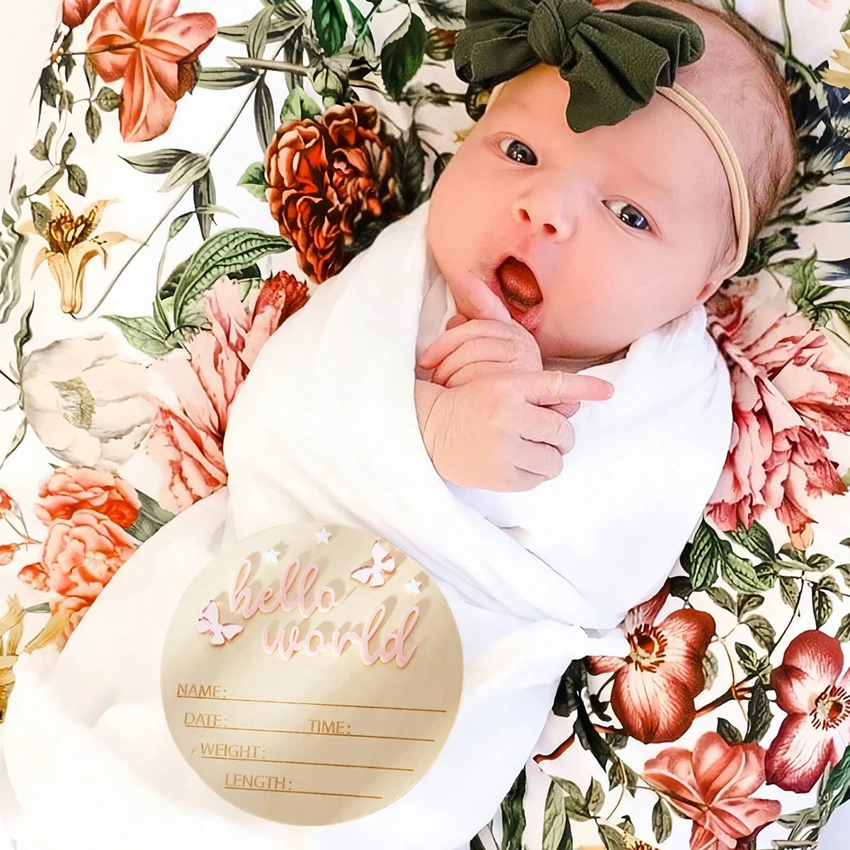 Hello World Wooden Baby Announcement Sign - Butterflies