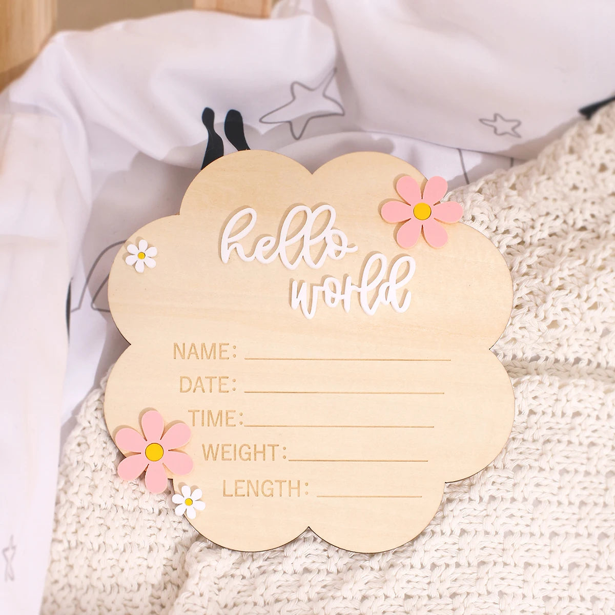 Hello World Newborn Birth Announcement Sign